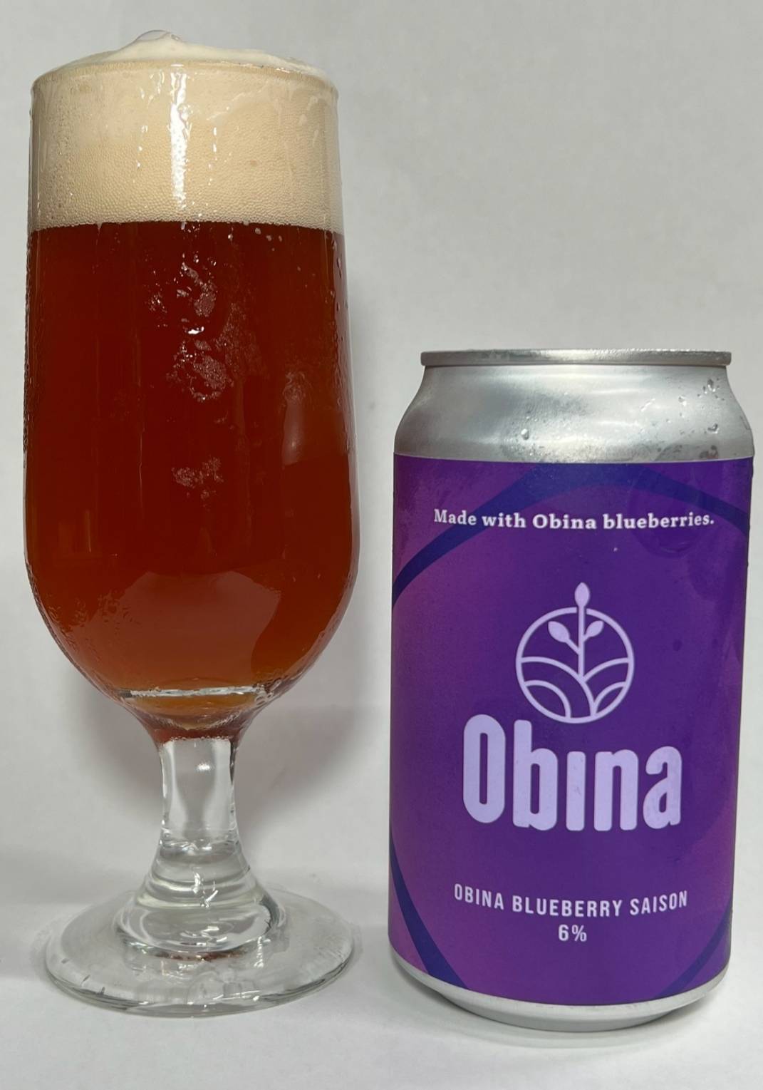 Obina Blueberry Saison - 1 Can