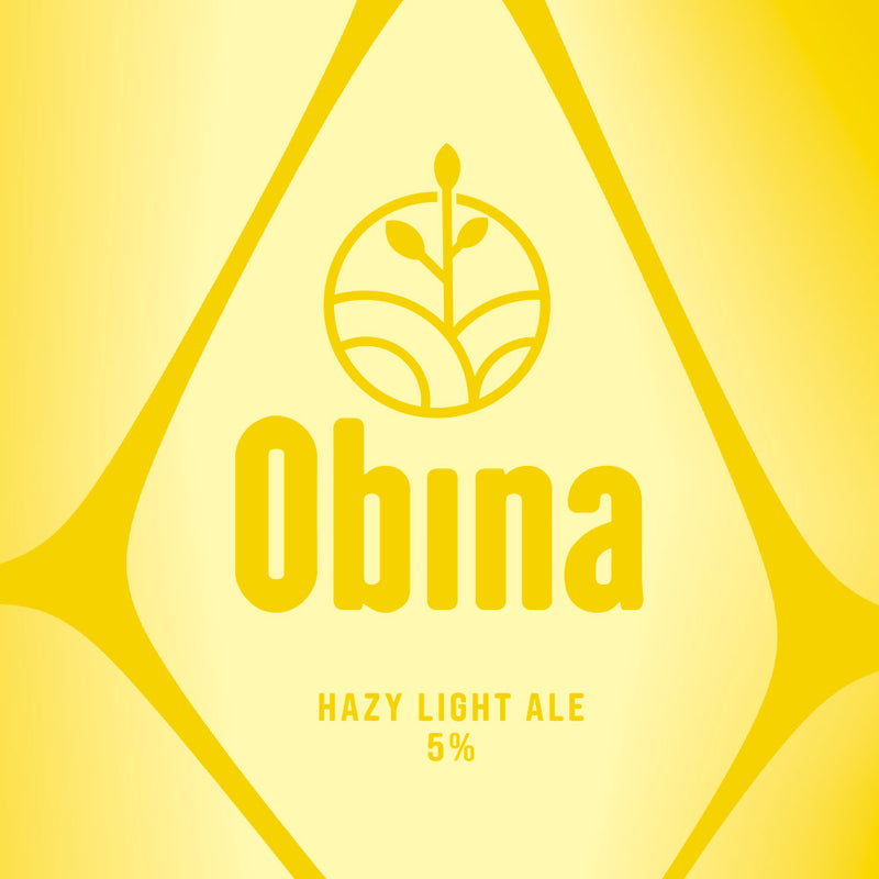Hazy Light Ale