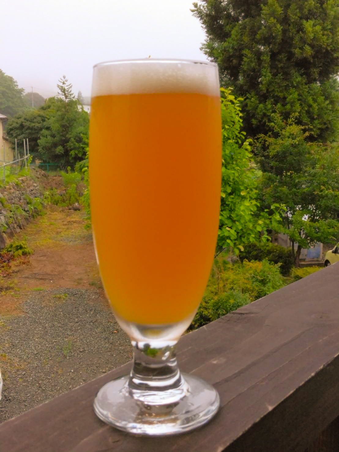 Obina IPA "the ROSE"